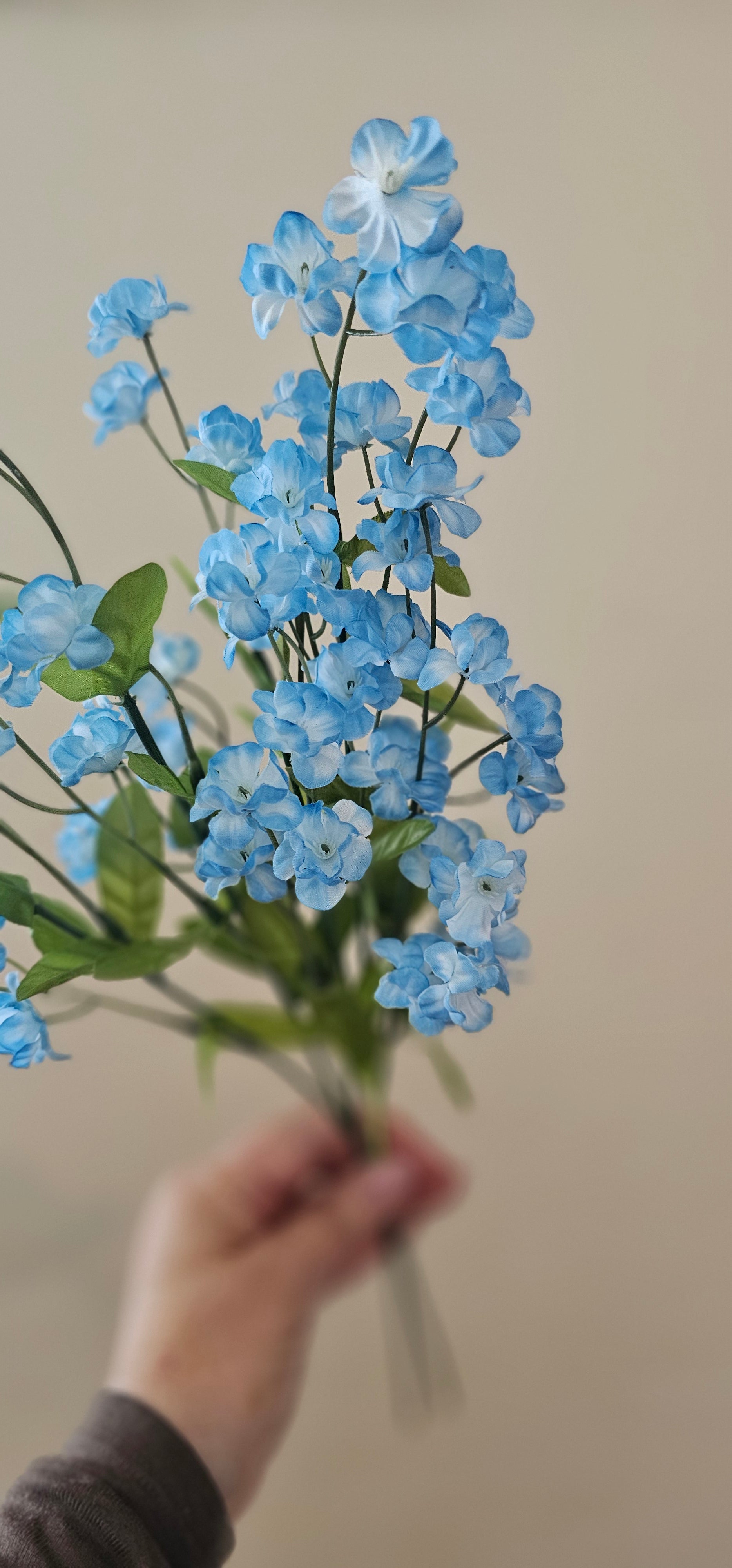 2 x Forget-me-not flower stems