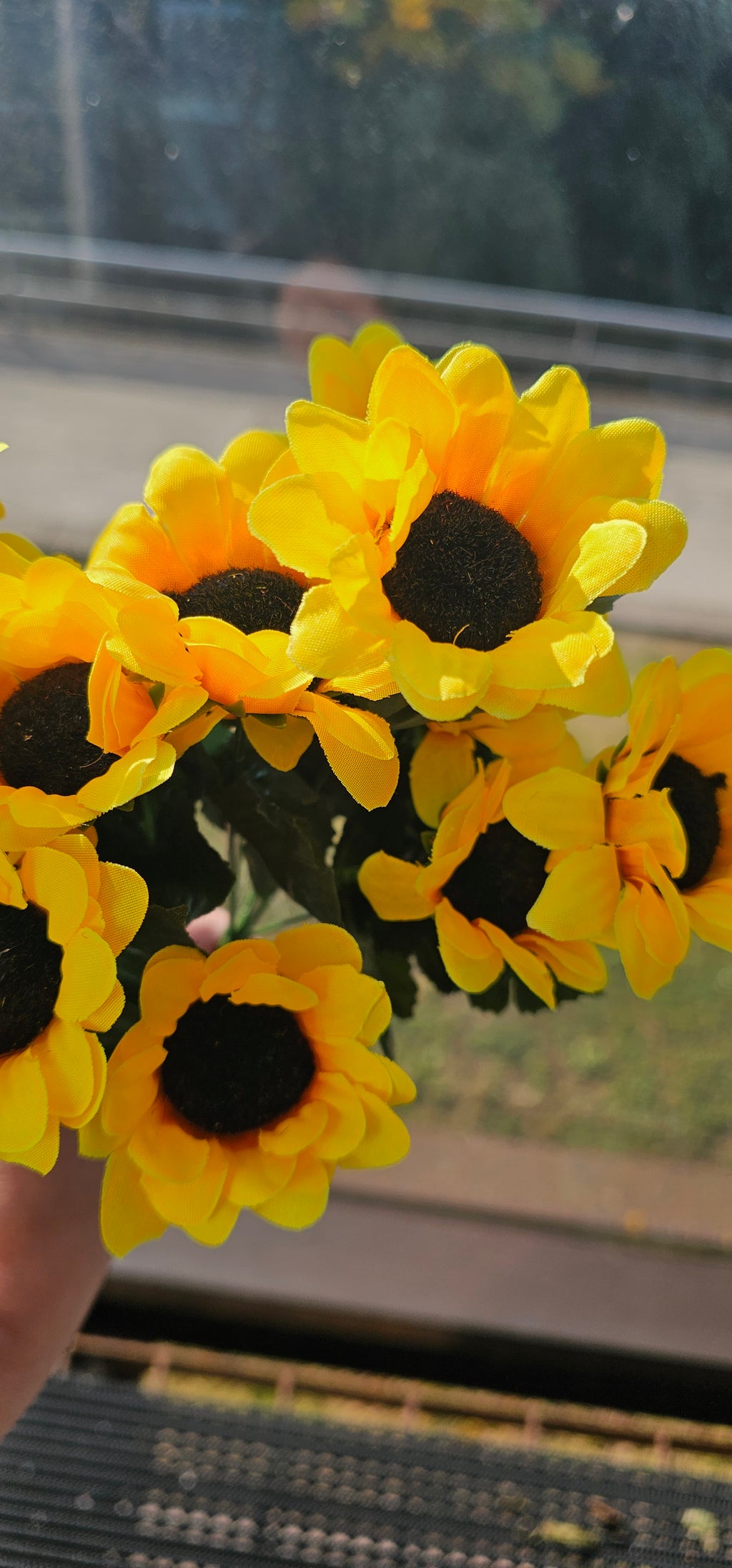 1 bunch of sunflowers