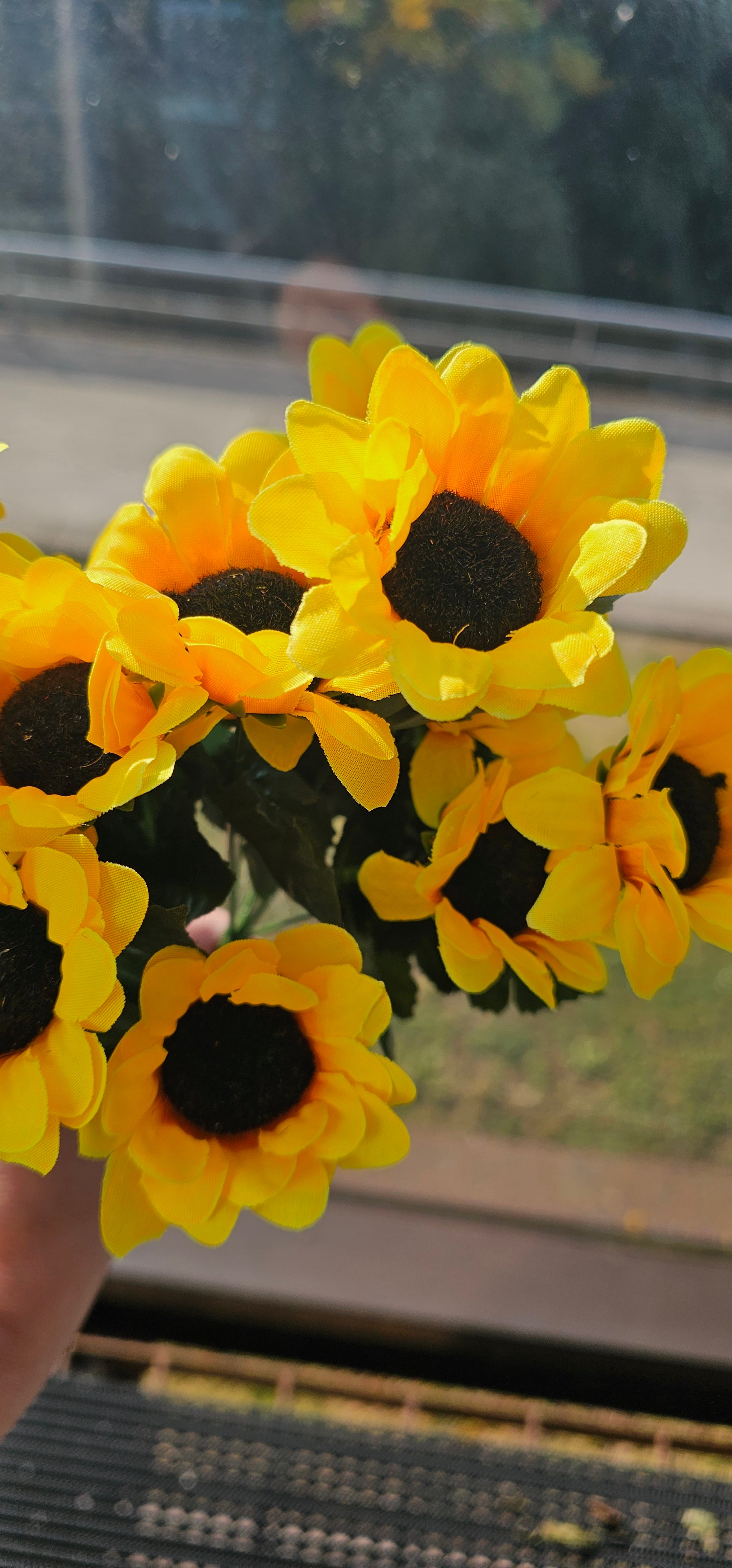 1 bunch of sunflowers