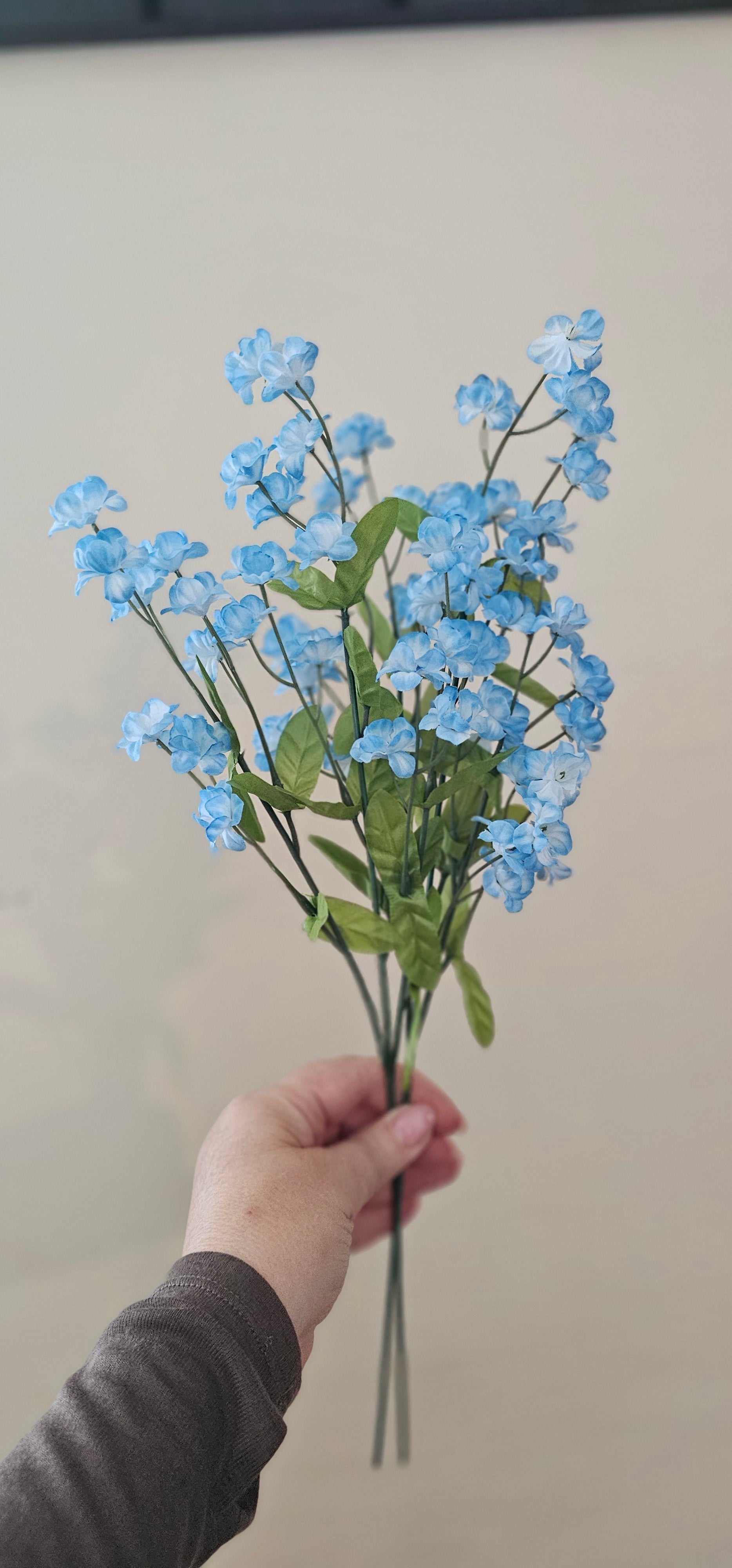 2 x Forget-me-not flower stems