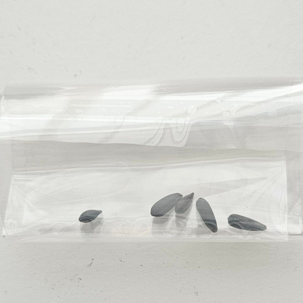 Sonnenblumen-Anstecker mit Geschenkanhänger und Samen