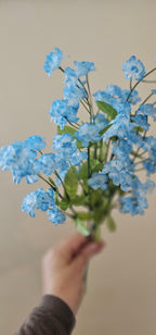 2 x Forget-me-not flower stems