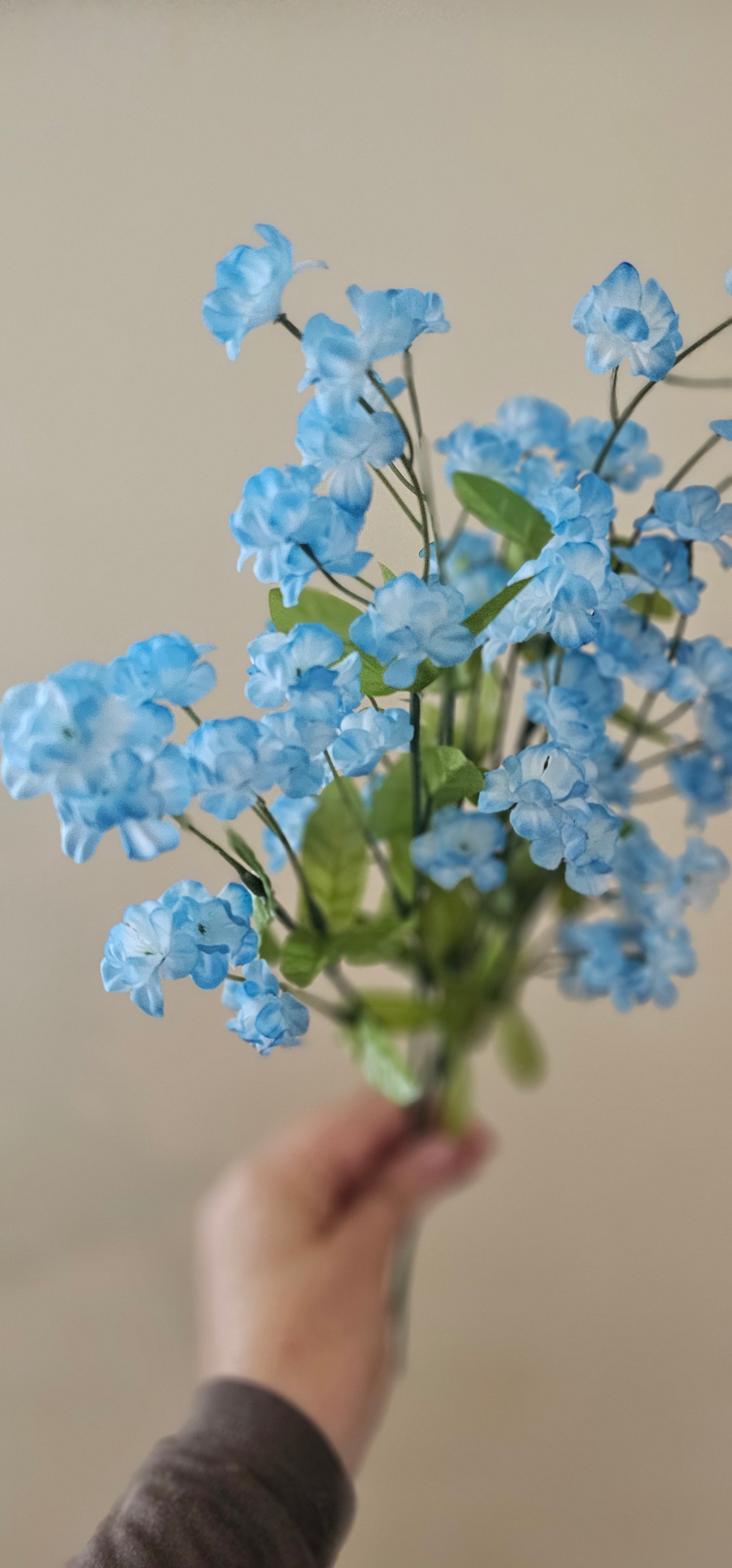 2 x Forget-me-not flower stems