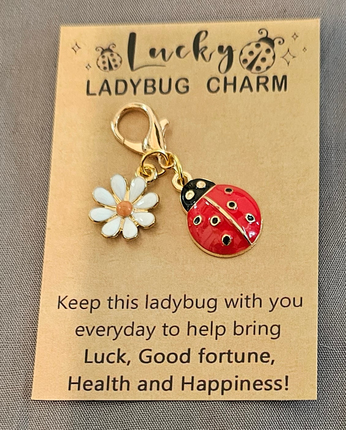 Ladybug 🐞 charm with daisy and inspirational card.